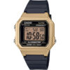 RELOJ CASIO