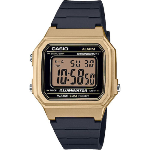 RELOJ CASIO